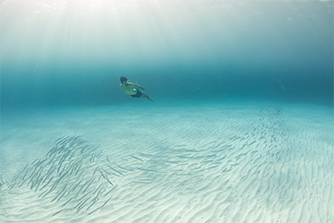 seascape-villa image